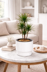 Omnipazar SO-VGS2 Vega Modern Plastik Saksı Takımı İç Kovalı 20 Litre No:2 Beyaz