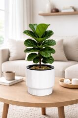 SO-VGS2 3 Adet Vega Modern Plastik Saksı Takımı No:2 İç Kovalı 20 Lt Beyaz