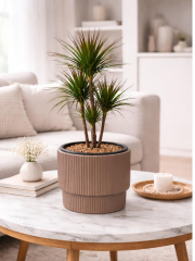 SO-VGS2 3 Adet Vega Plastik Modern Saksı Takımı İç Kovalı 20 Lt No:2 Mocha