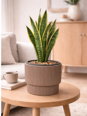 SO-VGS2 3 Adet Vega Plastik Modern Saksı Takımı İç Kovalı 20 Lt No:2 Mocha