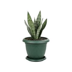 Omnipazar SO-D006 Damla Desen Tabaklı Saksı Takımı 5 Litre No:6 YEŞİL