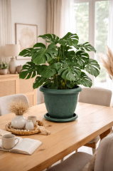 SO-D007 Damla Desen Tabaklı Saksı Takımı 8 Litre No:7 Yeşil 6 Adet