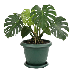 Omnipazar SO-D008 Damla Desen Tabaklı Saksı Takımı 11.6 Litre No:8