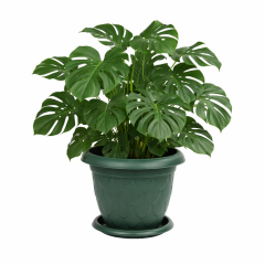 SO-D008 Damla Desen Saksı Takımı No:8 Tabaklı 11.6 Litre Yeşil 6 Adet