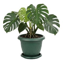 Omnipazar SO-D009 Damla Desen Tabaklı Saksı Takımı 17 Litre No:9