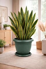 Omnipazar SO-D009 Damla Desen Tabaklı Saksı Takımı 17 Litre No:9