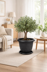 Omnipazar SO-D010 Damla Desen Tabaklı Saksı Takımı 25 Litre No:10 Antrasit (116)