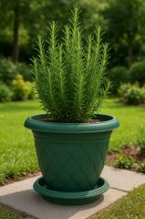 SO-D010 Damla Desen Tabaklı Saksı Takımı 25 Litre No:10 Yeşil 6 Adet