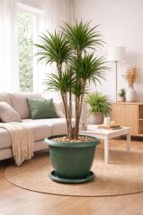 SO-D011 Damla Desen Saksı Takımı Tabaklı 37 Litre No:11 Yeşil 3 Adet