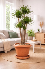 SO-D011 Damla Desen Saksı Takımı Tabaklı 37 Litre No:11 Kiremit 3 Adet