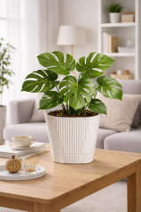 SO-ZB05 Zambak Dekoratif Plastik Saksı 8.8 Litre No:5 Kirli Beyaz 6 Adet