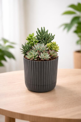 KRS-261 Zeraf Dekoratif Tabaklı Saksı Takımı Yeşil 1.3 Lt No:1 6 Adet