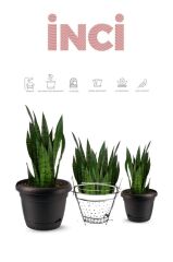 Omnipazar KRS-343 Dekoratif İnci Bitki Çiçek Saksı Takımı 4.9 Litre No 3 Gri