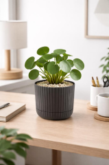 KRS-262 Zeraf Dekoratif Tabaklı Saksı Takımı 2.6 Litre No:2 Antrasit 6 Adet