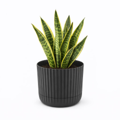 Omnipazar KRS-263 Zeraf Dekoratif Tabaklı Saksı Takımı 4.6 Litre No:3