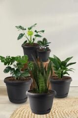 Omnipazar KRS Dekoratif İnci Bitki Çiçek Saksı Takımı 5'li Set Antrasit