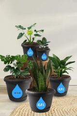 Omnipazar KRS Dekoratif İnci Bitki Çiçek Saksı Takımı 5'li Set Antrasit