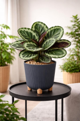 Omnipazar ELF-452 Dekoratif Derin Nostalji Ayaklı Saksı Takımı 9 Litre