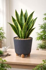 ELF-452 Dekoratif Derin Nostalji Ayaklı Saksı Takımı 9 Lt Antrasit 5 Adet