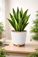 ELF-452 Derin Nostalji Ayaklı Saksı Takımı 9 Lt Beyaz 5 Adet