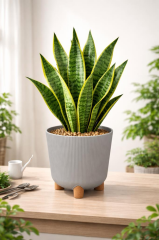 ELF-452 Dekoratif Derin Nostalji Ayaklı Saksı Takımı 9 Lt Taş Gri 5 Adet