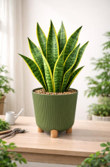 ELF-452 Derin Nostalji Ayaklı Saksı Takımı 9 Litre Yeşil 5 Adet