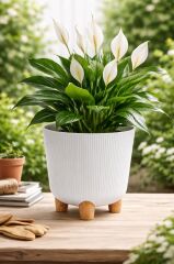 ELF-453 Dekoratif Derin Nostalji Ayaklı Saksı Takımı 16 Lt Beyaz 5 Adet