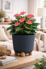 ELF-453 Derin Nostalji Ayaklı Saksı Takımı 16 Lt Antrasit 5 Adet