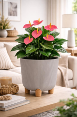 ELF-453 Dekoratif Derin Nostalji Ayaklı Saksı Takımı 16 Lt Taş Gri 5 Adet