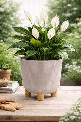 ELF-453 Dekoratif Derin Nostalji Ayaklı Saksı Takımı 16 Lt Taş Gri 5 Adet