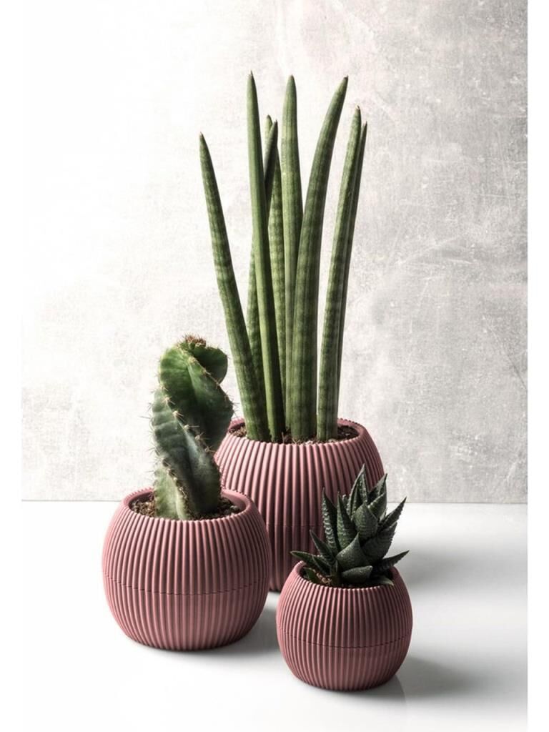 Omnipazar KRS Mercan Dekoratif Kaktüs Sukulent Plastik Saksı Takımı 3'lü Set Soft Pembe