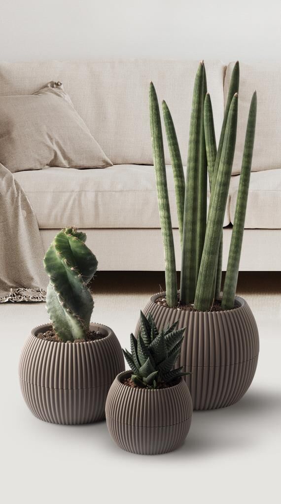 Omnipazar KRS Mercan Dekoratif Sukulent Kaktüs Plastik Saksı Takımı 3'lü Set Kahverengi