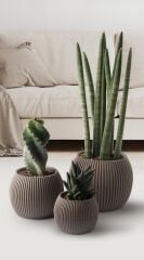 Omnipazar KRS Mercan Dekoratif Sukulent Kaktüs Plastik Saksı Takımı 3'lü Set Kahverengi