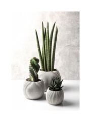 Omnipazar KRS Mercan Dekoratif Sukulent Kaktüs Plastik Saksı Takımı 3'lü Set Bej