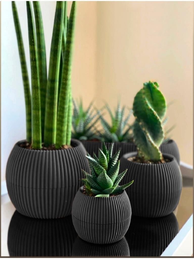 Omnipazar KRS Mercan Dekoratif Sukulent Kaktüs Plastik Saksı Takımı 3'lü Set Antrasit