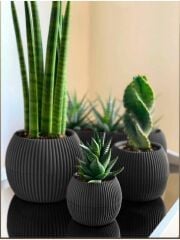 Omnipazar KRS Mercan Dekoratif Sukulent Kaktüs Plastik Saksı Takımı 3'lü Set Antrasit