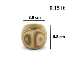 Omnipazar KRS Mercan Dekoratif Sukulent Kaktüs Plastik Saksı Takımı 3'lü Set Soft Sarı