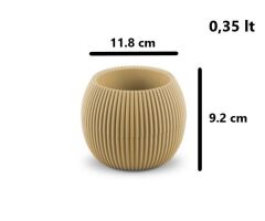 Omnipazar KRS Mercan Dekoratif Sukulent Kaktüs Plastik Saksı Takımı 3'lü Set Soft Sarı