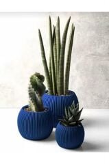 Omnipazar KRS Mercan Dekoratif Sukulent Kaktüs Plastik Saksı Takımı 3'lü Set Gece Mavisi