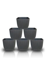 Omnipazar KRS-381 Dekoratif Plastik Mercan Kare Saksı 0.27 litre Antrasit 6 Adet