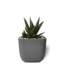 Omnipazar KRS-384 Dekoratif Plastik Mercan Kare Saksı 4 litre Antrasit 6 Adet