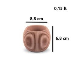 Omnipazar KRS-361 Plastik Mercan Kaktüs Saksı 0.15 Litre Soft Pembe 6 Adet