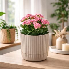 KRS-263 Zeraf Dekoratif Tabaklı Saksı Takımı 4.6 Litre No:3 Bej 6 Adet