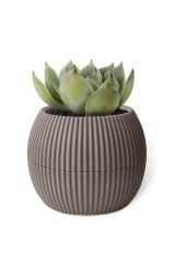 Omnipazar KRS-362 Plastik Mercan Kaktüs Saksı 0.35 Litre Soft Kahverengi 6 Adet