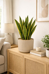 Omnipazar KRS-264 Zeraf Dekoratif Tabaklı Lüks Saksı Takımı 7.2 Litre No:4