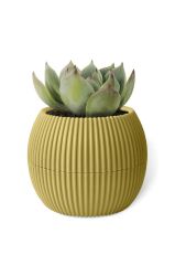 Omnipazar KRS-362 Plastik Mercan Kaktüs Saksı 0.35 Litre Soft Sarı 6 Adet
