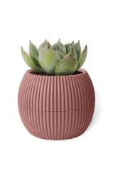 Omnipazar KRS-363 Plastik Mercan Kaktüs Saksı 0.7 Litre Soft Pembe 6 Adet