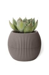 Omnipazar KRS-363 Plastik Mercan Kaktüs Saksı 0.7 Litre Kahverengi 6 Adet