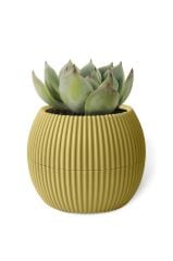Omnipazar KRS-363 Plastik Mercan Kaktüs Saksı 0.7 Litre Soft Sarı 6 Adet
