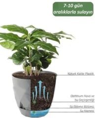 Omnipazar KRS-451 Yakamoz Tabaklı Plastik Saksı Takımı 0.65 lt Beyaz 6 Adet